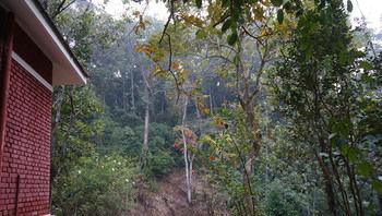 Falling Waters Munnar Eksteriør bilde