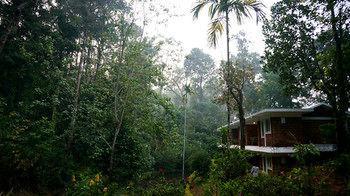Falling Waters Munnar Eksteriør bilde