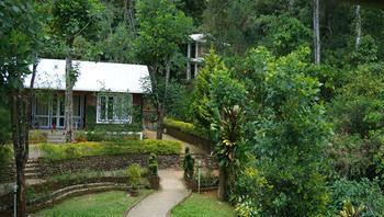Falling Waters Munnar Eksteriør bilde