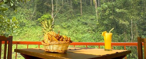 Falling Waters Munnar Eksteriør bilde